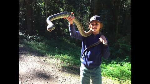 Huge Python Snake Adventure HD