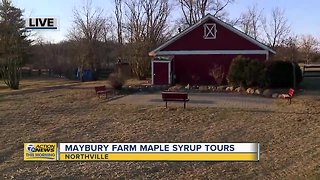 Maybury Farm Maple Syrup Tours
