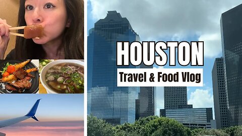 🛩️ Houston, TX Travel & Food Vlog ! Texas Family Vacation & Food Guide | Rack of Lam - Lam's Cam
