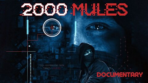 Documentary: 2000 Mules