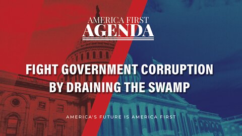 Fight Government Corruption By Draining The Swamp