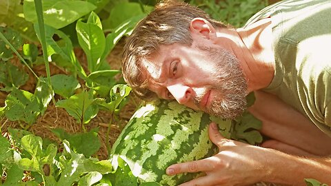 See What 10 Months of Grocery Row Gardening Leads To!? (David The Good Summer Garden Tour)