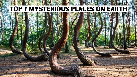 #5 - Poland's Crooked Forest