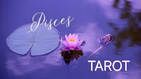 PISCES NOVEMBER 2023 TAROT ♓️ A BRAND NEW START #pisces #tarot #oracle
