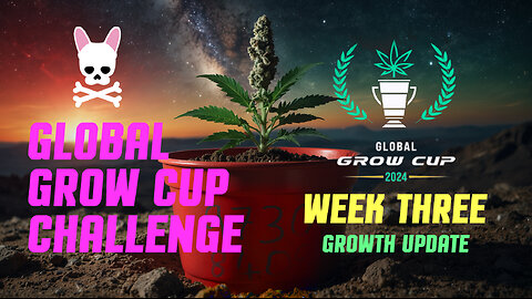 Global Grow Cup Challenge 2024 - Week Three