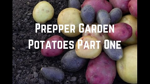 Prepper Garden: Grow Potatoes Part One