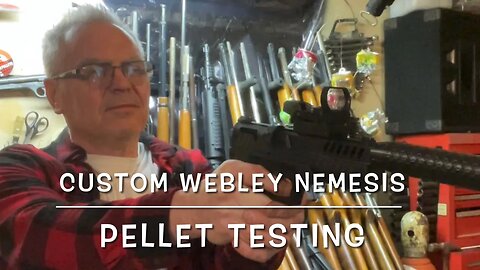 Webley Nemesis (co2) with Buck Rail accessories testing several pellets!