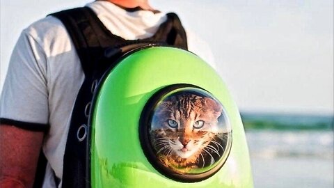 The Cat Backpack - You Cat To Be Kitten Me Right Meow!