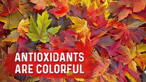 Antioxidants Control the Leaves Changing Color in the Fall: Dr. Berg