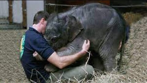 Human respect and love for Animal life