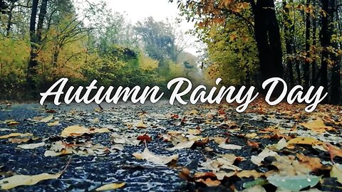 Autumn / Fall Rainy Day | Relaxing rain sounds