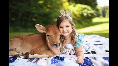 Baby girl sleeping on cow's baby in fun