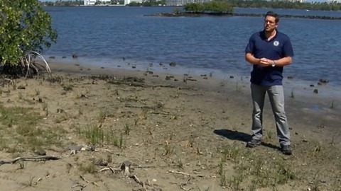 Storms impacting Lake Worth Lagoon seagrass