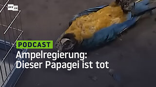 Ampelregierung: Dieser Papagei ist tot