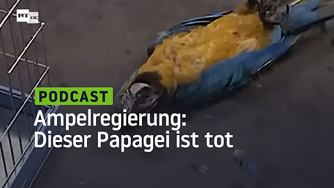 Ampelregierung: Dieser Papagei ist tot