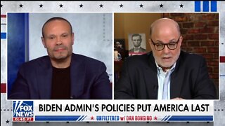 Levin Rips American Oligarchs Protected By The Democrat Party