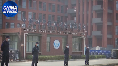 NTD Italia: Laboratorio di Wuhan. La diffusione di virus era già decisa nel 2018