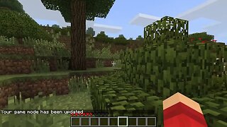 Minecraft Renewed - Fall-Through Leaves