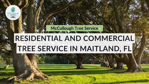 Full-Service Tree Care Company in Maitland, FL