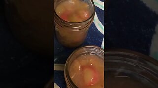 Rhubarb pie filling