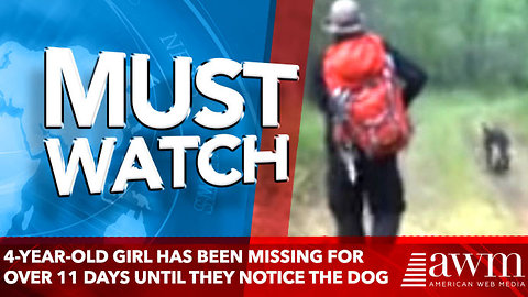 4-year-old girl has been missing for over 11 days until they notice the dog