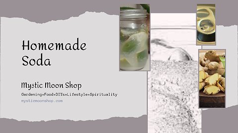 Homemade Soda - Cheaper & Cleaner