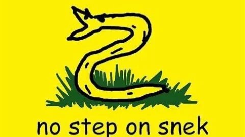 DONT STEP ON SNEK