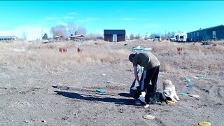 Crazy Dogs Make Disc Golf More Fun