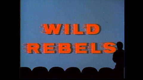 Mystery Science Theater 3000 - Wild Rebels