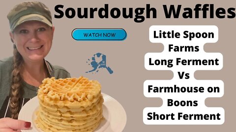 Long and short Sourdough waffles | Trying both @Farmhouse on Boone and @Amy | Little Spoon Farm