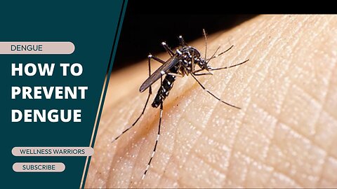 How to prevent Dengue