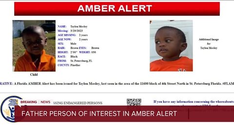 Search continues for missing St. Pete toddler after mother found dead; police say father is person of interest