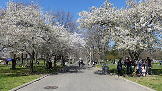 The 2023 Easter Day in New York's Flushing Meadows Corona Park