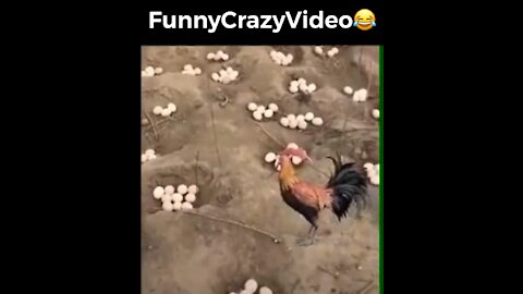 Mr FunnyCrazyVideo😂 Just Incredible Video Funny and Crazy #Like Follow for Follow 🥰