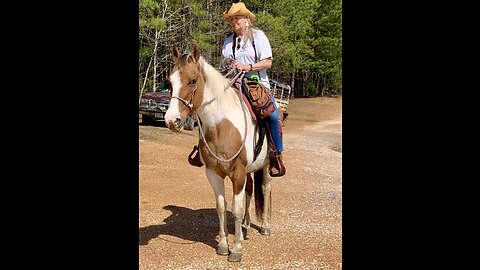 Springtime : It’s the time to hit the saddles. Come on y’all , let’s saddle up and go for a ride.🤠