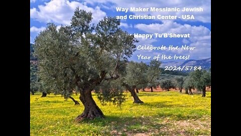 Tu' B'Shevat 2024-5784 – New Year of the Trees