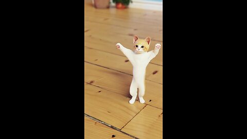 Cat &kitten cutee dance cat actually enjoying