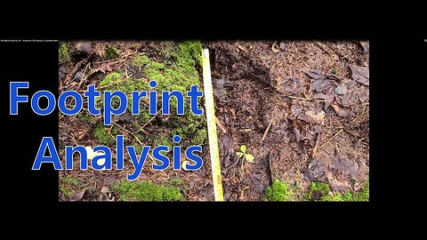My Bigfoot Story Ep 214 - Footprint Analysis, Screams & A Sprained Wrist