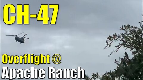 CH-47 ● Chinook Overflight at Apache Ranch ● June 2022