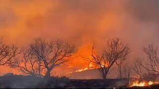 Over a Million Acres Burned in Texas. Largest Fire in TX History. Lots of News tonight!