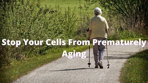 Priceless Anti Aging Products: 27 Doable Ways To Stop Your Cells From Prematurely Aging!