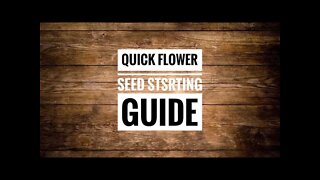 Starting Flower Seeds Indoors. Step By Step For Canadian Gardeners | #shorts | Gardening in Canada