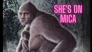 Bigfoot Encounter on Mica Mountain in British Columbia