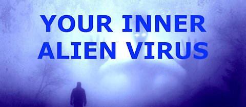 MEET YOUR MAKERS: ALIEN VIRUSES