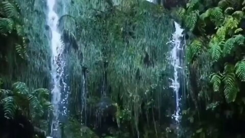 Relaxing Rainforest Waterfall Sounds for Sleep and RELAX - Sleeping with Water White Noise Ambience
