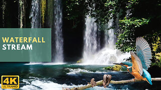 Waterfalls Rivers and Streams W/O Birdsong • Peaceful Ambience for Sleep, Yoga and Relaxation