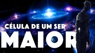 SERIA O UNIVERSO UM ÁTOMO DE ALGUM SER VIVO MAIOR?