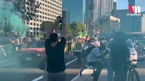 Protestors Overtake 110 Freeway in Los Angeles