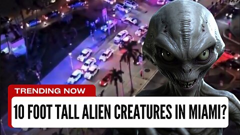 8-10 Foot Alien Creatures Seen in Miami, Bayside Market Area #conspiracy #closeencounter