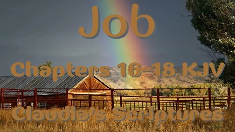 The Bible Series Bible Book Job Chapters 16-18 Audio